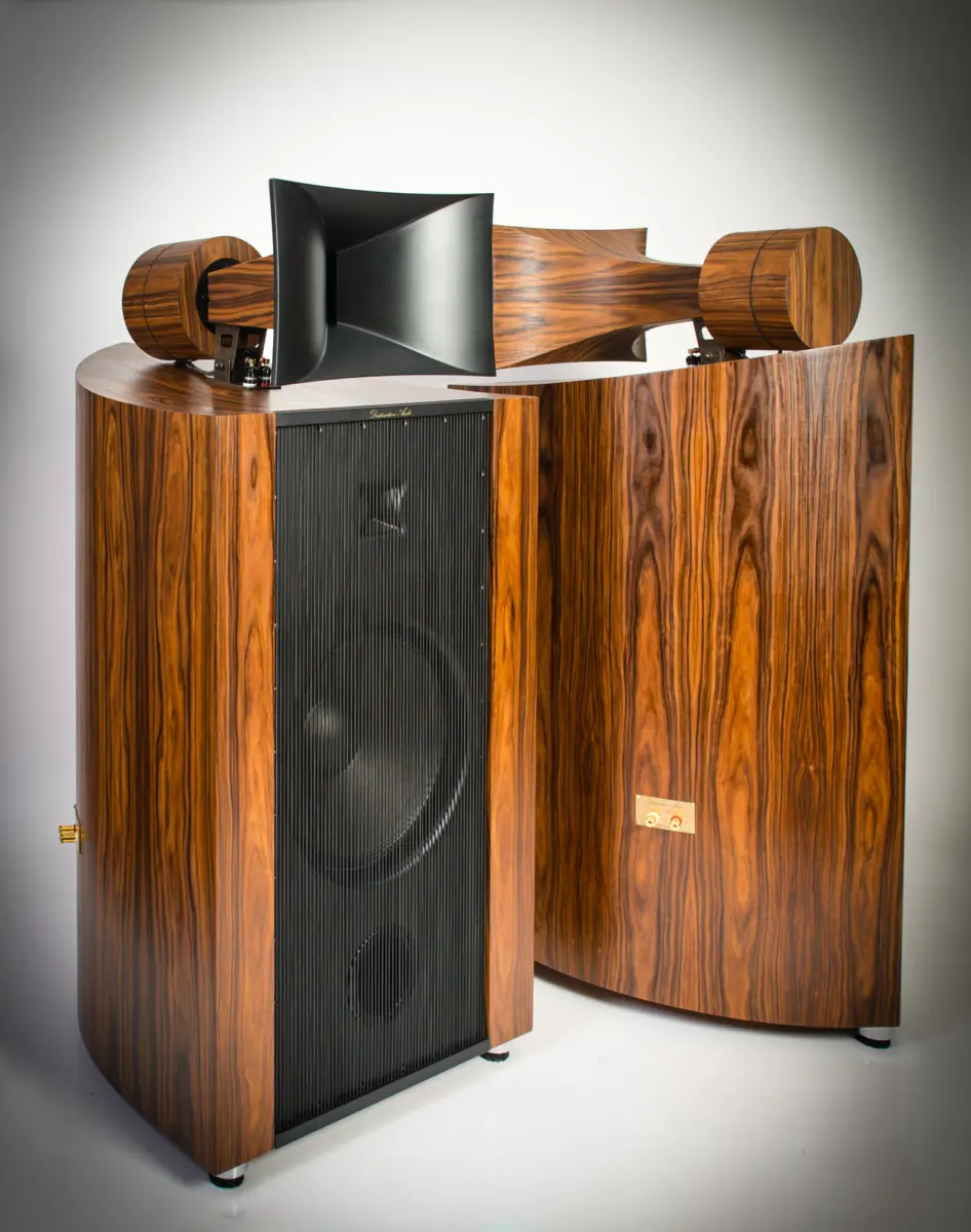 A pair of Destination Audio Nika horn speakers with rosewood cabinets, one seen from behind