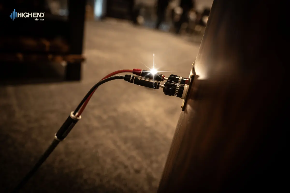 Speaker cable plugged into the gold terminals on the back of a Destination Audio speaker